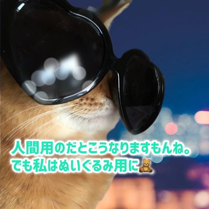 を使ったクチコミ(2枚目)