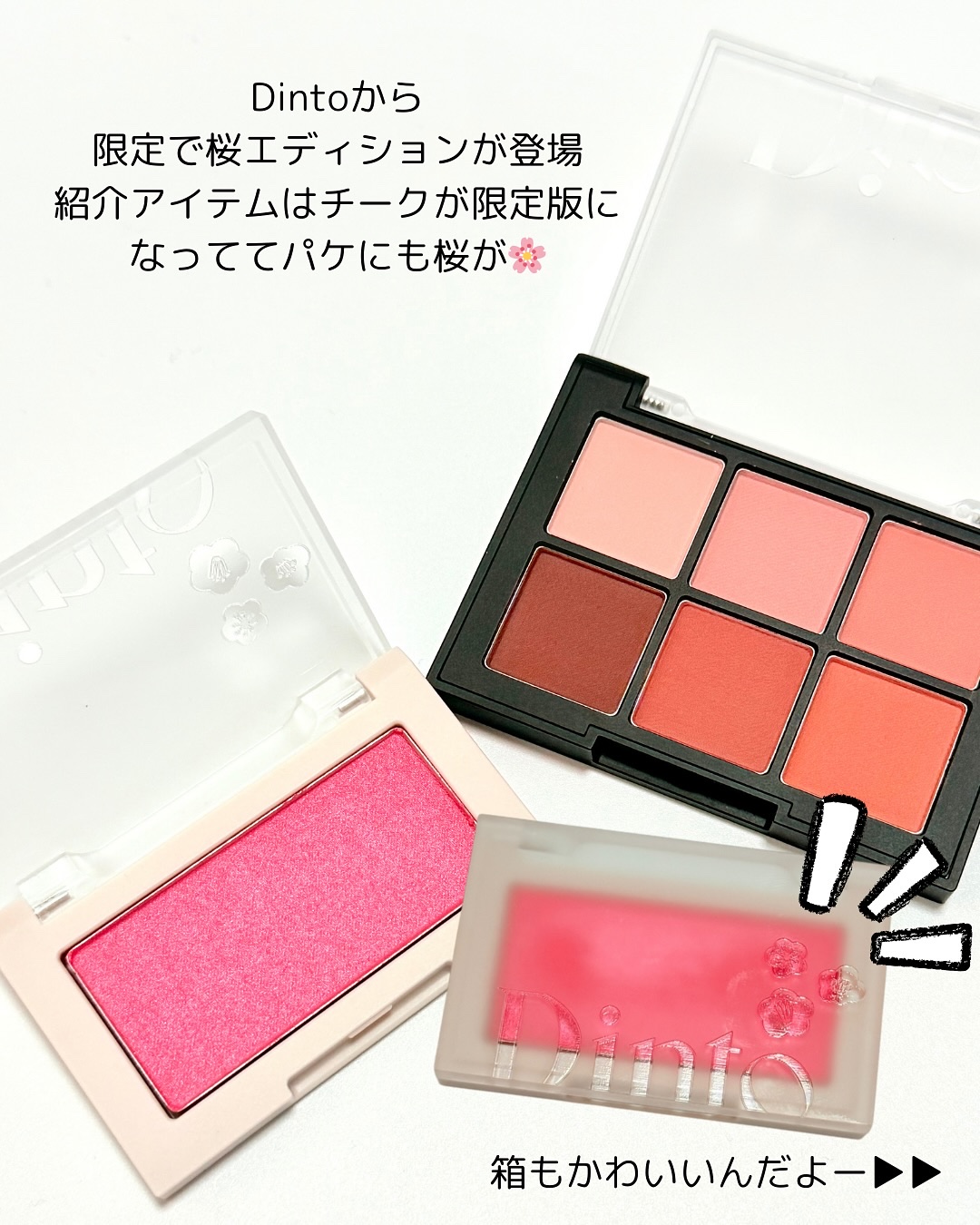 ブラーフィニシュシャドウパレット/Dinto/アイシャドウパレットを使ったクチコミ（2枚目）