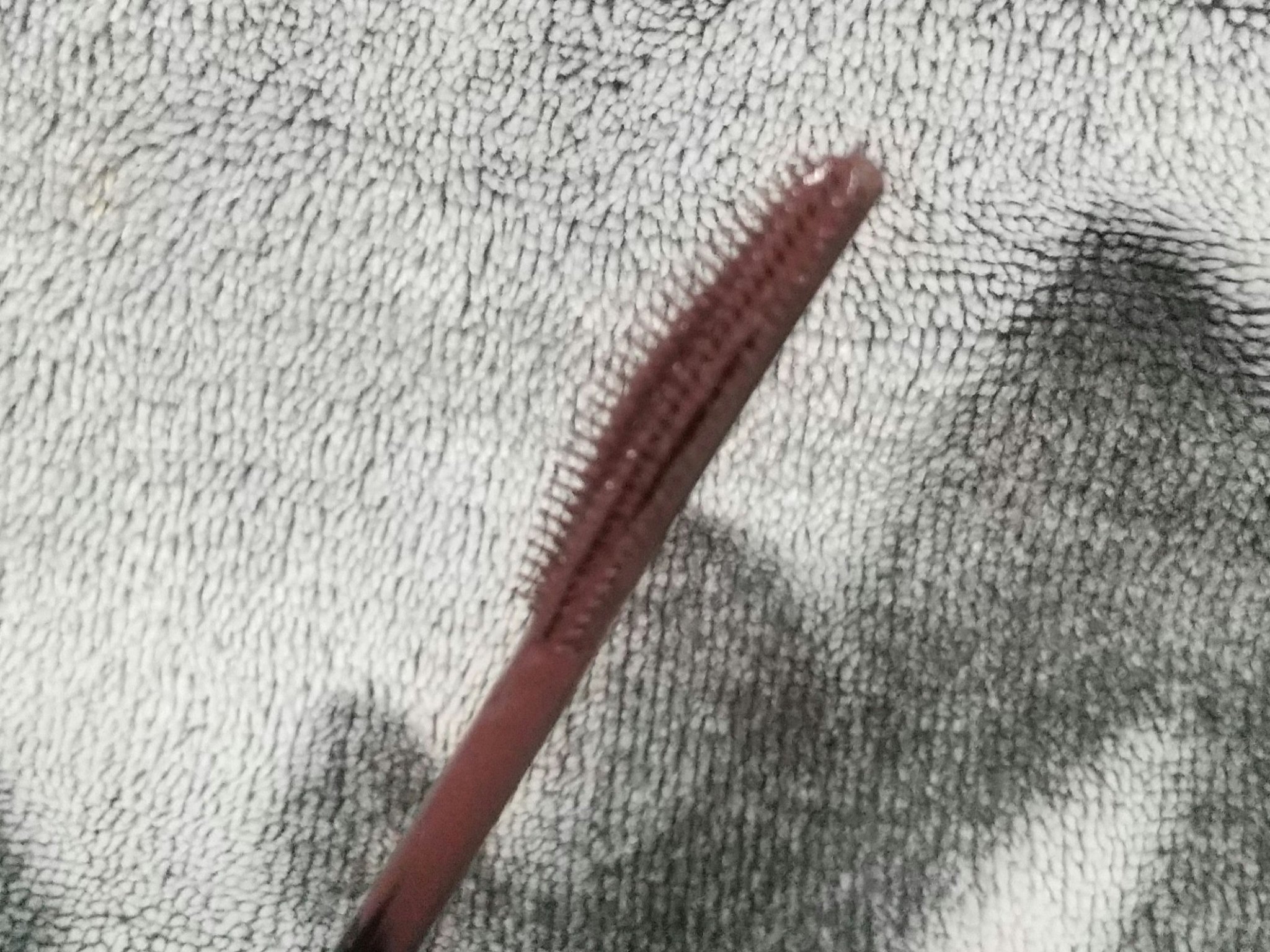 スカイハイ/MAYBELLINE NEW YORK/マスカラを使ったクチコミ（3枚目）