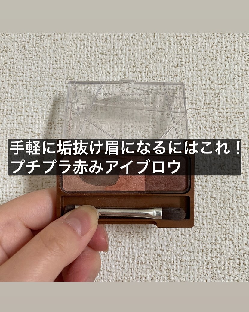 ノーズ＆アイブロウパウダー/CEZANNE/パウダーアイブロウを使ったクチコミ（1枚目）