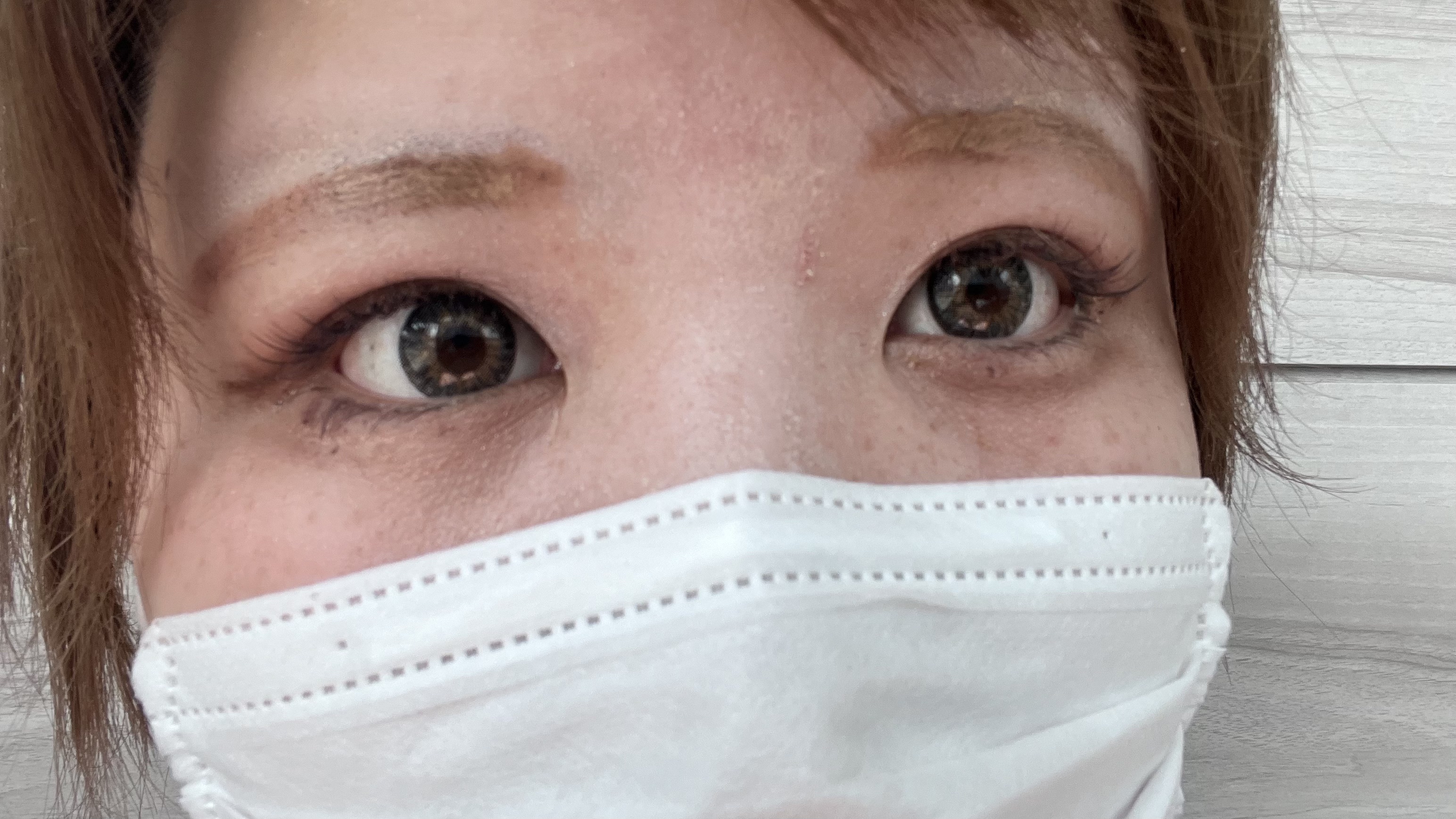 &. Wチャーム アイブロウパレット/DAISO/パウダーアイブロウを使ったクチコミ（1枚目）