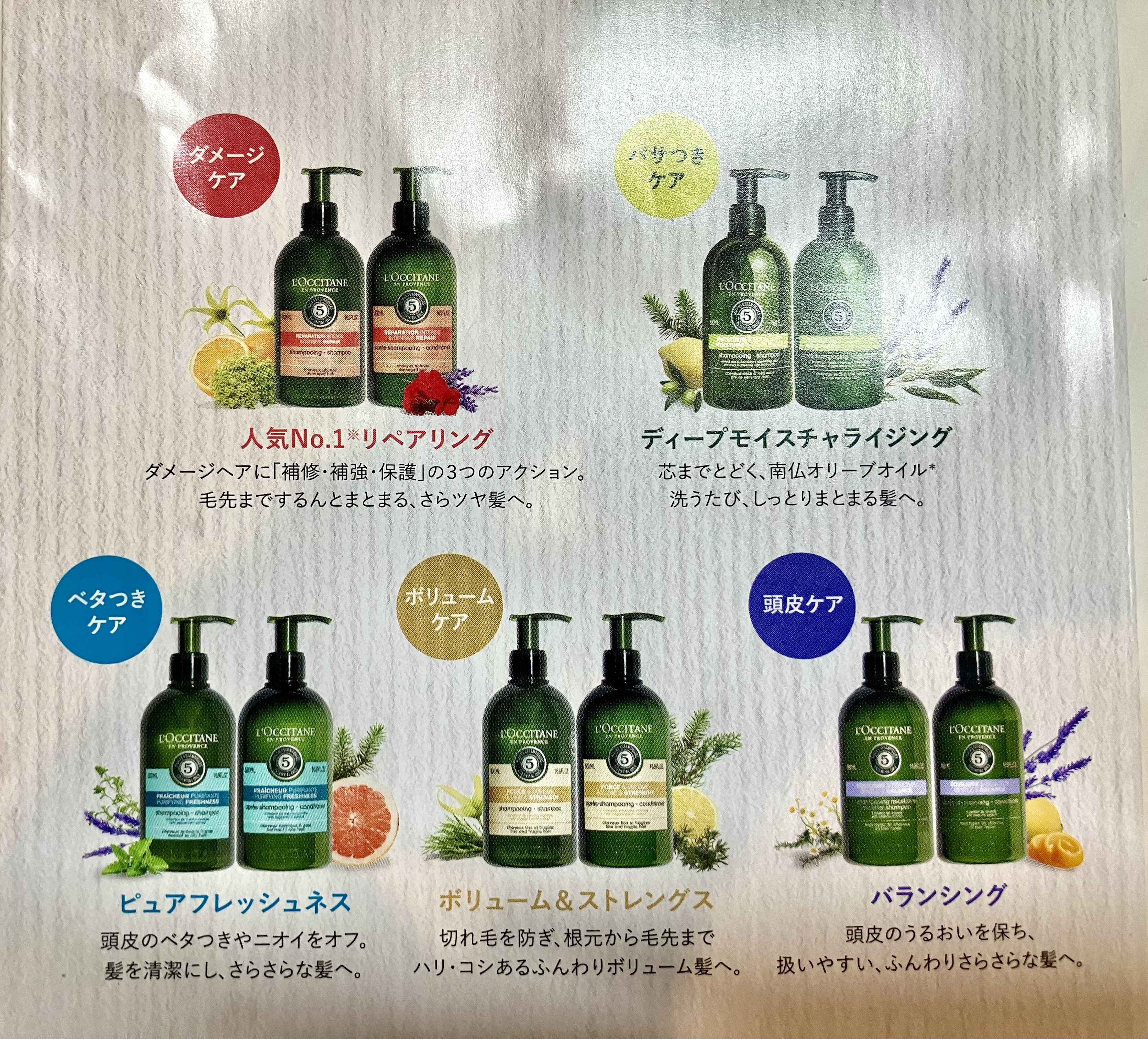 リペアリングシャンプー/L'OCCITANE/市販シャンプーを使ったクチコミ（2枚目）