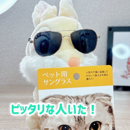 narukuru❤︎ on LIPS 「コスメじゃないんですが昨日セリアで買ってしまったペット用映え..」(5枚目)