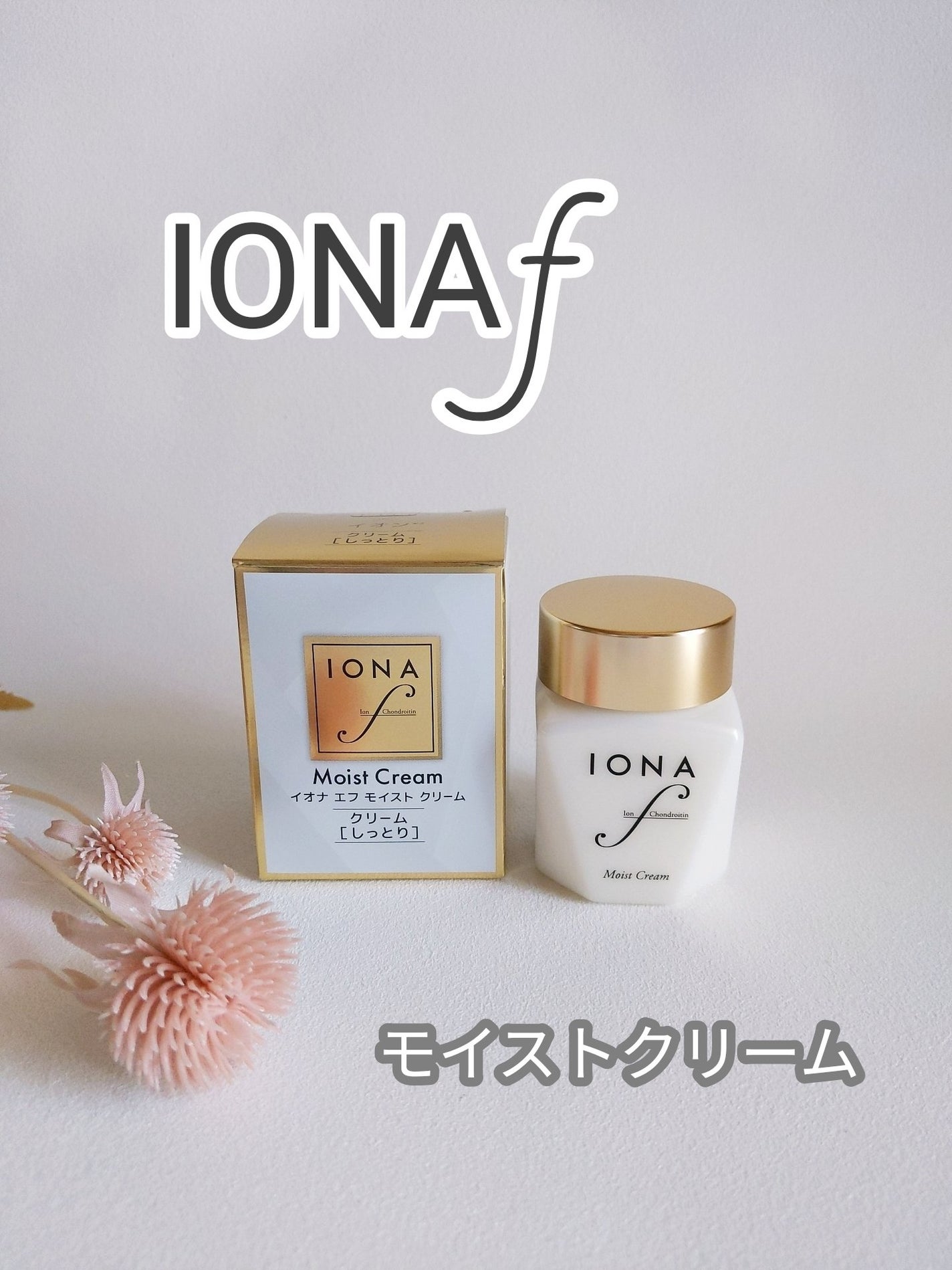 モイスト クリーム/イオナ エフ/フェイスクリームを使ったクチコミ(1枚目)