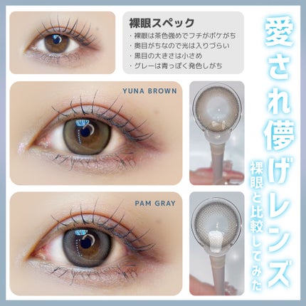 Mechu Mechu/Mechu Mechu /ワンデー(1DAY)カラコンを使ったクチコミ(4枚目)