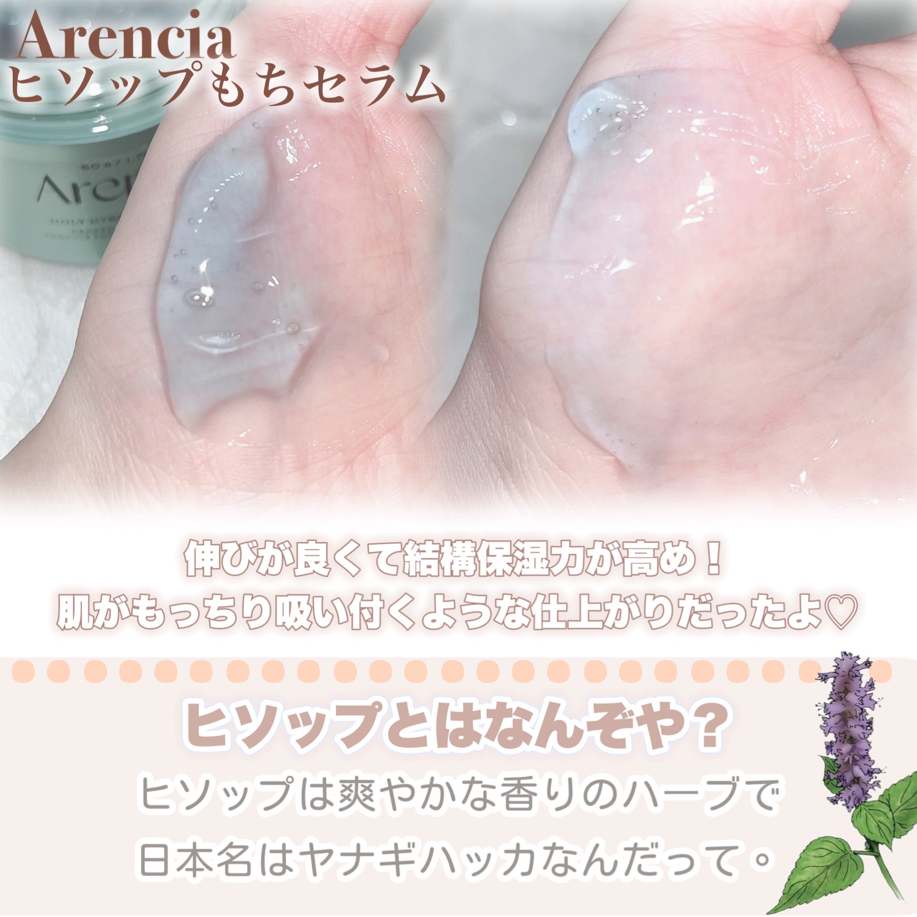 ホーリーヒソップ もちセラム/アレンシア/美容液を使ったクチコミ（3枚目）
