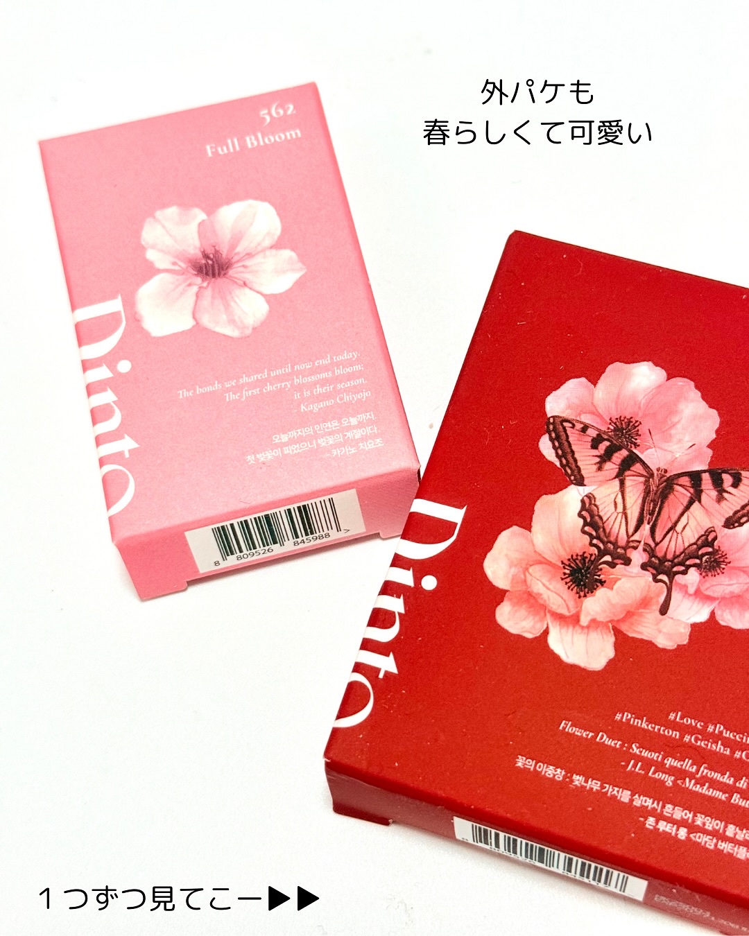 ブラーフィニシュシャドウパレット/Dinto/アイシャドウパレットを使ったクチコミ（3枚目）