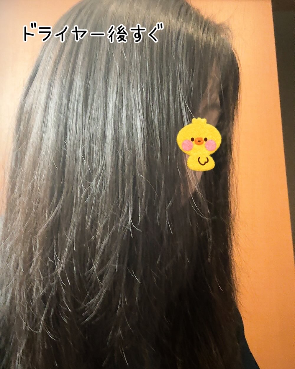 シトラスパ エアリー&モイスト シャンプー/トリートメント/CITRUSPA/市販シャンプーを使ったクチコミ（2枚目）