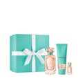 ティファニー ローズ ゴールド コフレ / TIFFANY&Co.