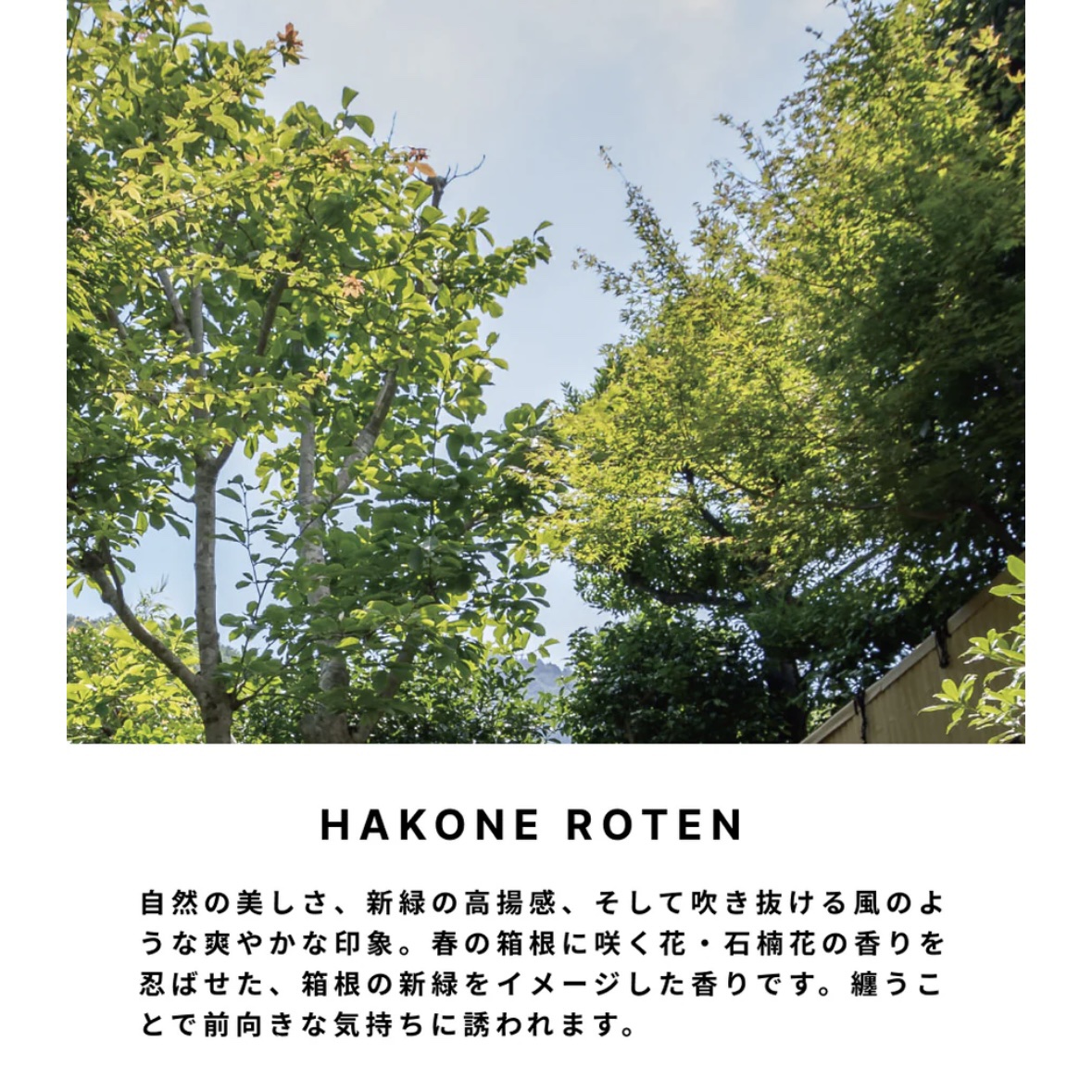 アネッサ　デイセラム　N/アネッサ/化粧下地を使ったクチコミ（2枚目）