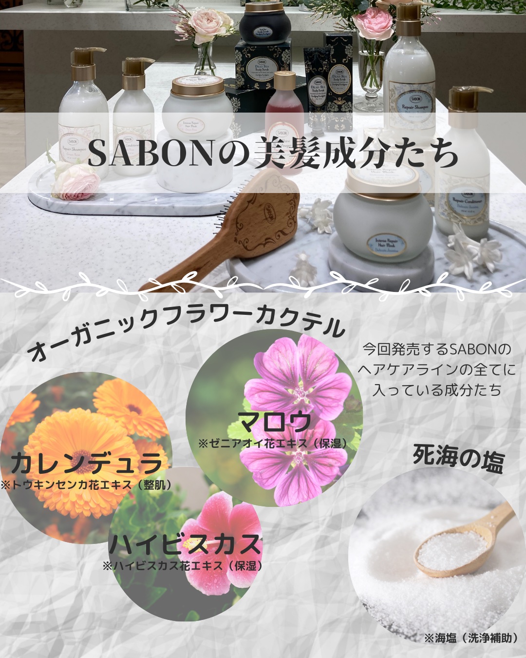SABON クッション ヘアブラシのクチコミ「▽
SABON(@)様よりいただきました🙏

4月17日、5月1日より発売の新ヘアケアラインを.....」（2枚目）
