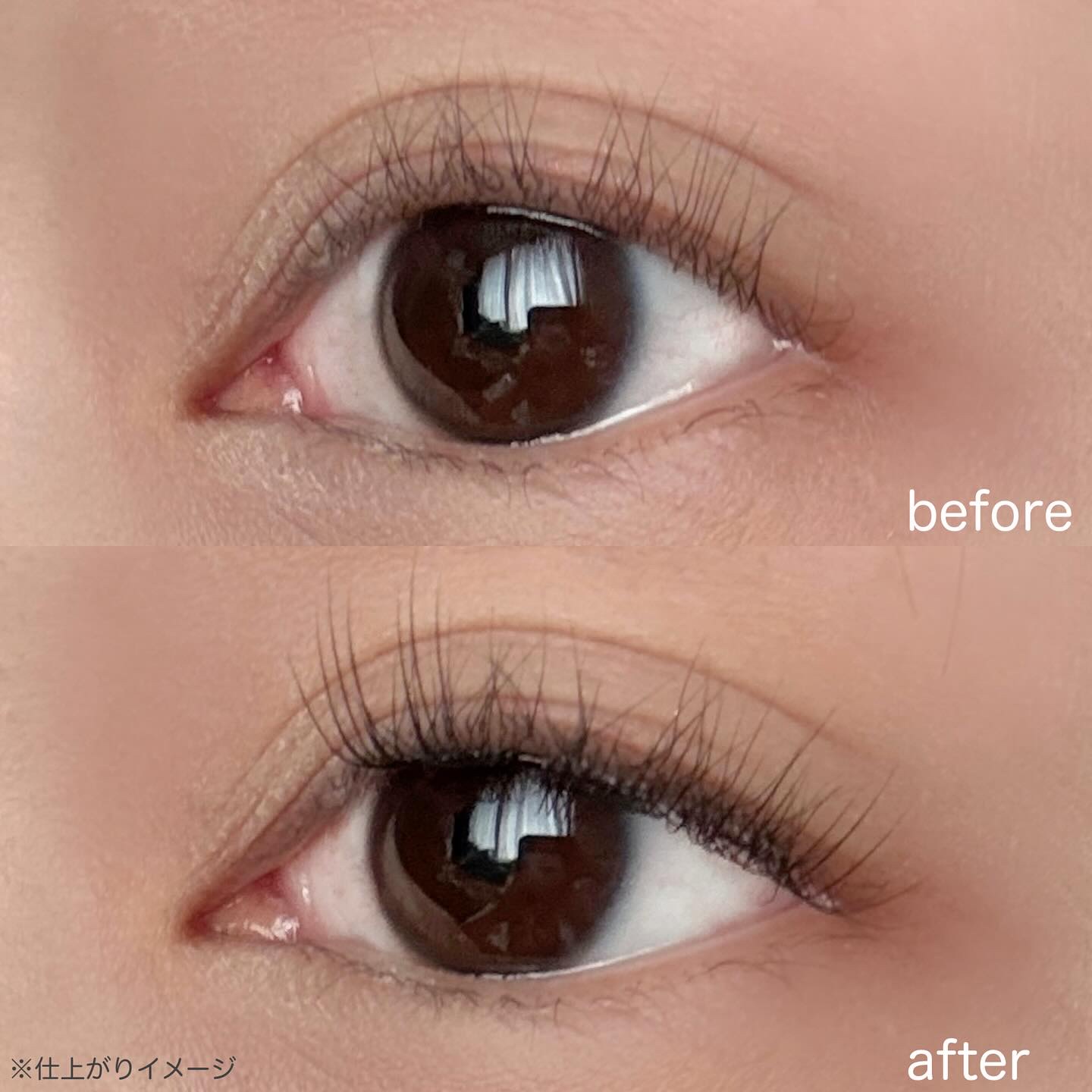 keybo BBiBBi LASH/keybo/つけまつげを使ったクチコミ（2枚目）