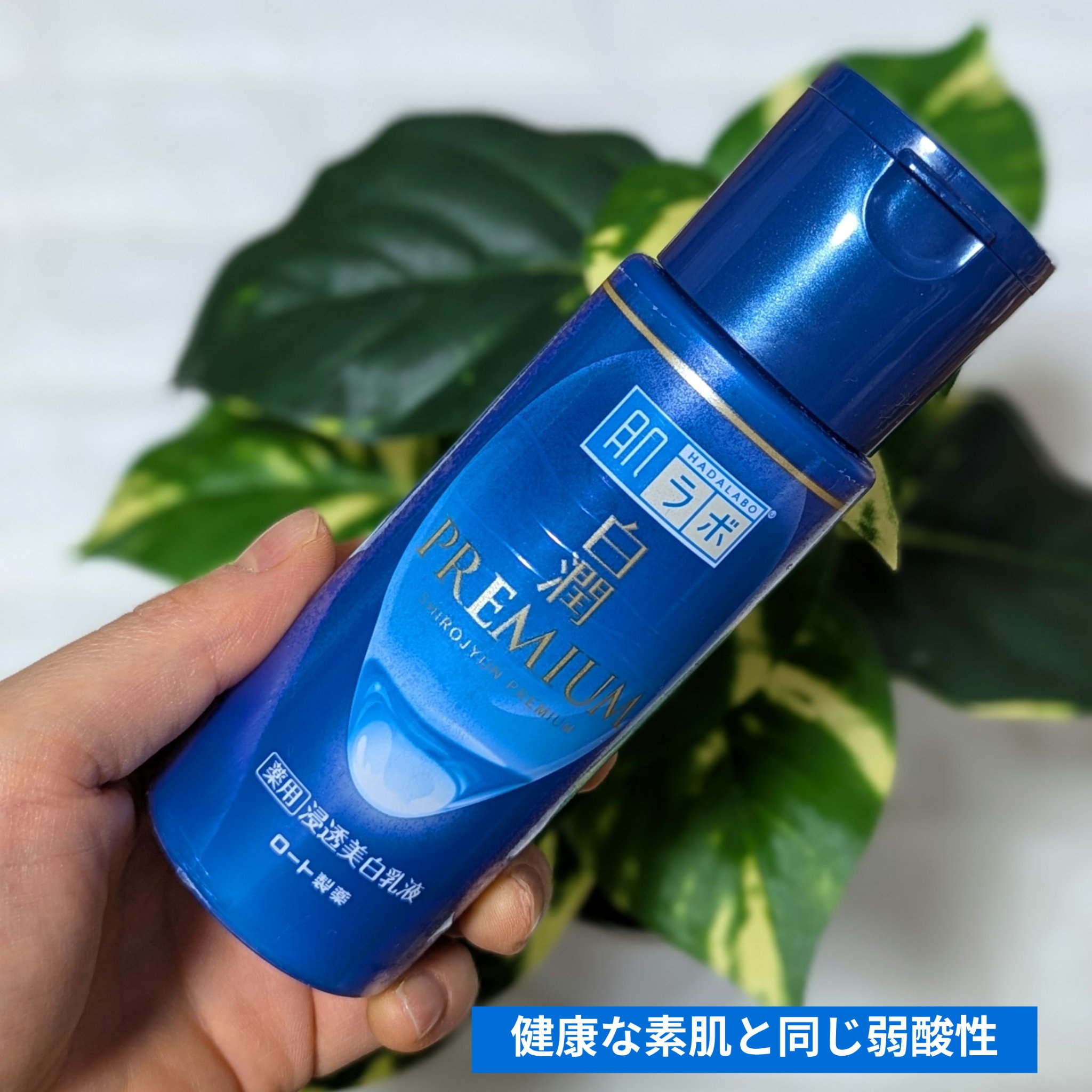 白潤プレミアム 薬用浸透美白乳液/肌ラボ/乳液を使ったクチコミ（1枚目）