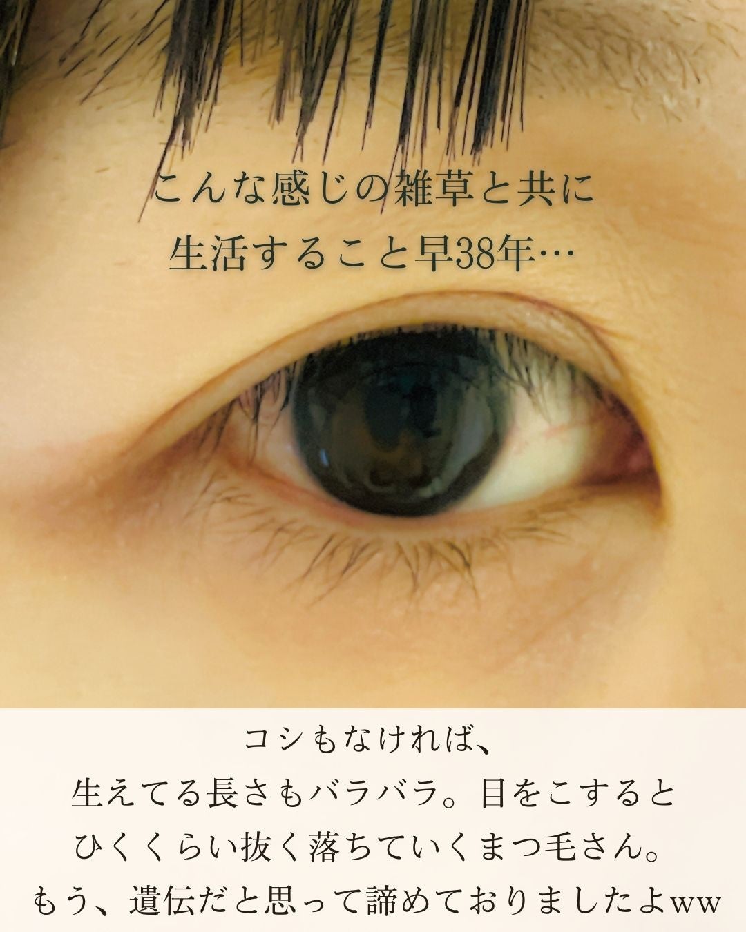 ラッシュアディクト アイラッシュコンディショニングセラム/soaddicted/まつげ美容液を使ったクチコミ(2枚目)