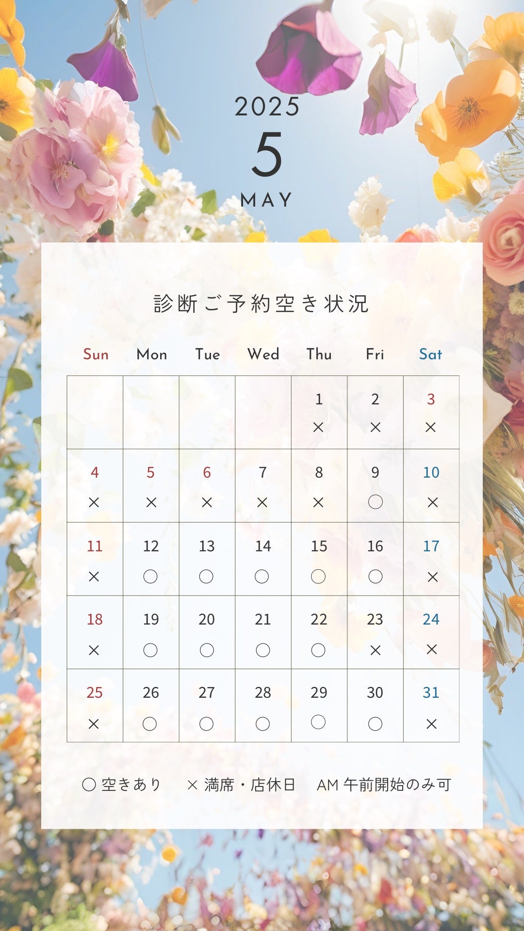 シャドウパレット/dasique/アイシャドウパレットを使ったクチコミ(8枚目)