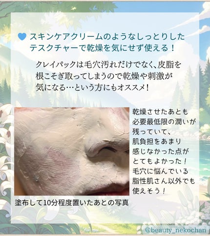 MARINECLAYPACK shiro /CLELU/洗い流すパック・マスクを使ったクチコミ(3枚目)