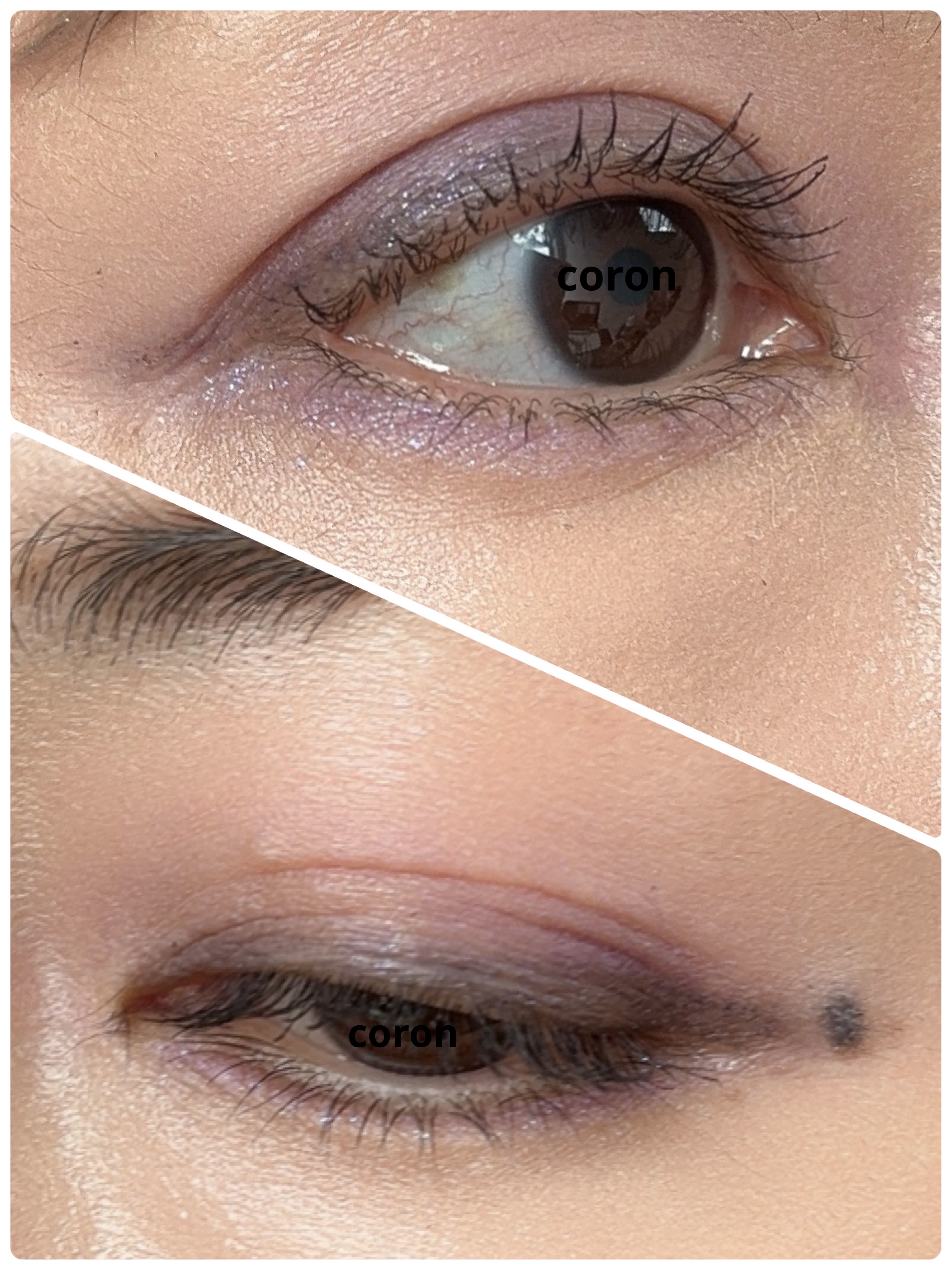 オンブル エサンシエル 232 リラ プードゥレ(マット)/CHANEL/単色アイシャドウを使ったクチコミ（2枚目）