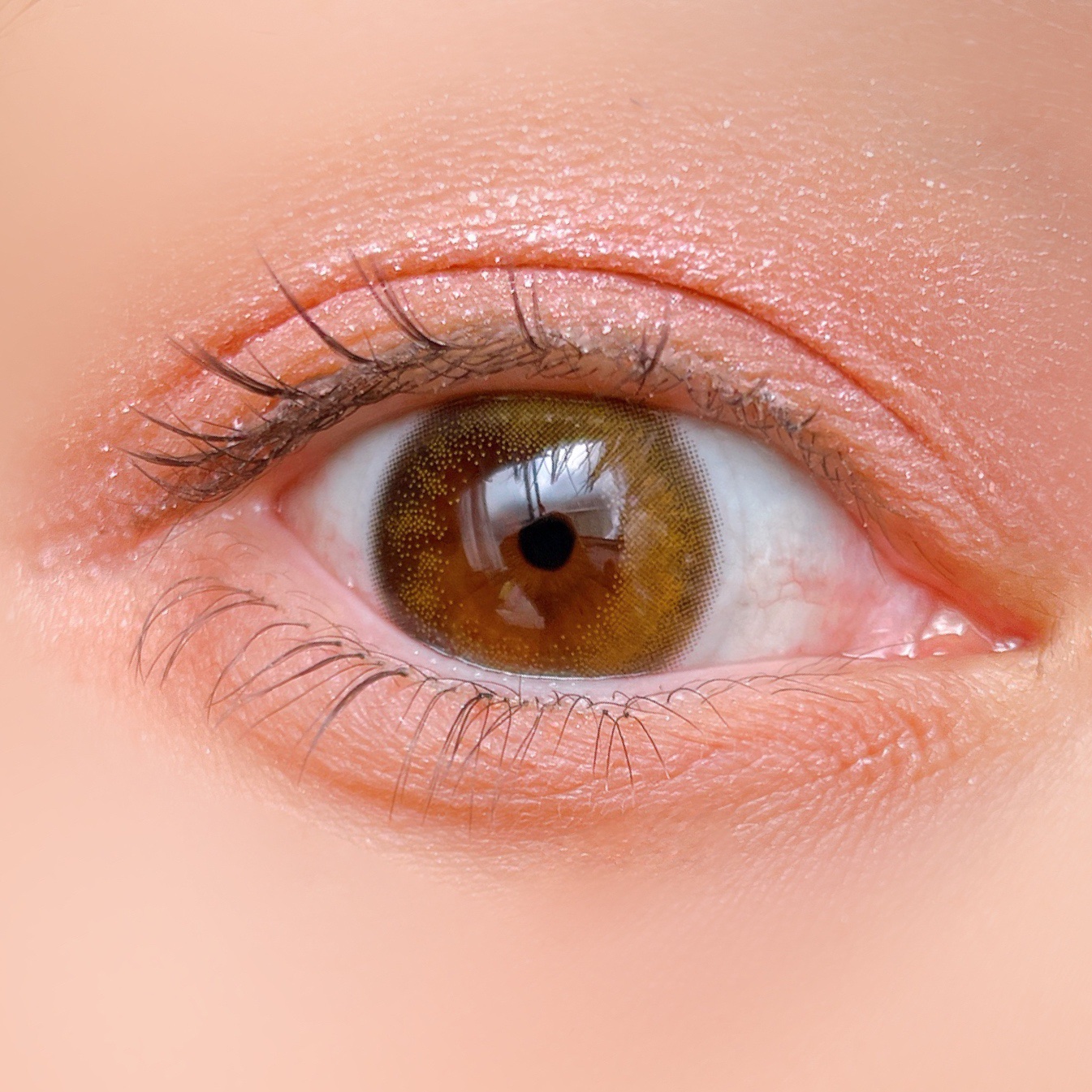 Little Bitty Moment Shadow/lilybyred/アイシャドウパレットを使ったクチコミ（3枚目）