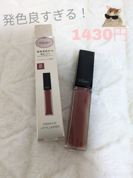 エッセンス リッププランパー BR301 ブラウンレッド/Visée/リッププランパーの画像