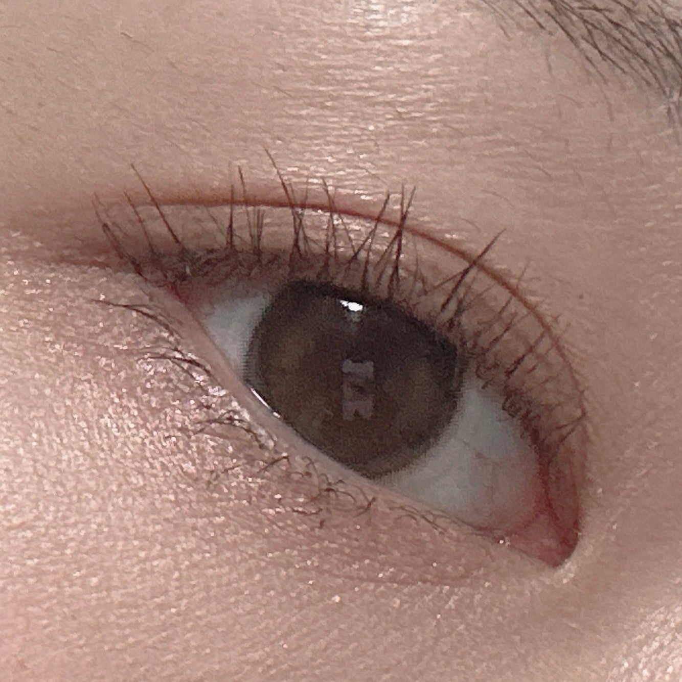 チークブラッシュ/CEZANNE/パウダーチークを使ったクチコミ(2枚目)