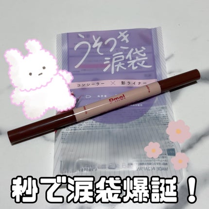 ピメル パーフェクトアイバッグペンシル/pdc/リキッドアイライナーを使ったクチコミ(1枚目)