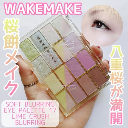 ソフトブラーリングアイパレット/wakemake/アイシャドウパレットを使ったクチコミ(1枚目)