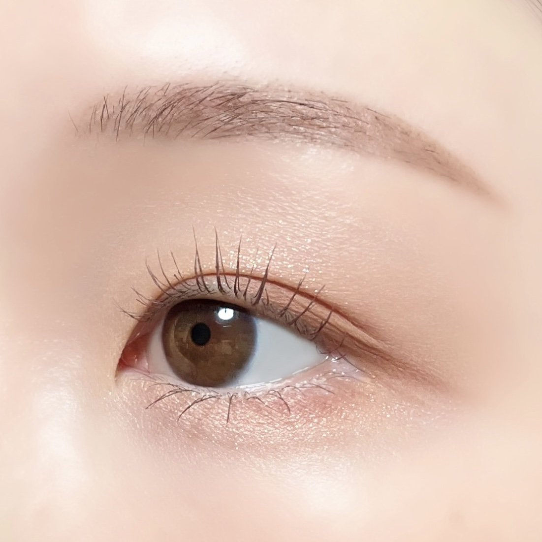 ベターミーアイパレット/2aN/マルチパレットを使ったクチコミ（1枚目）