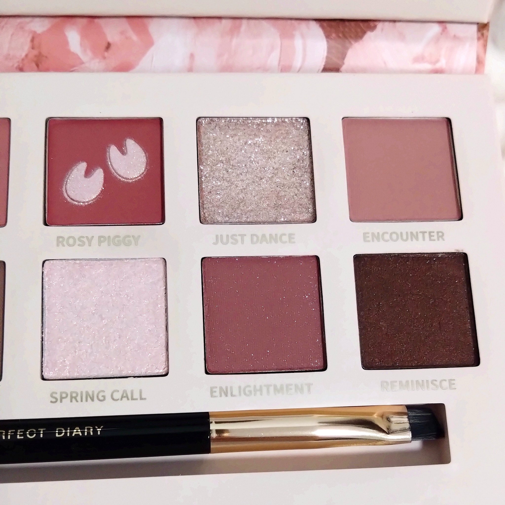 エクスプローラ12色 動物アイシャドウパレット/PERFECT DIARY/アイシャドウパレットを使ったクチコミ（3枚目）