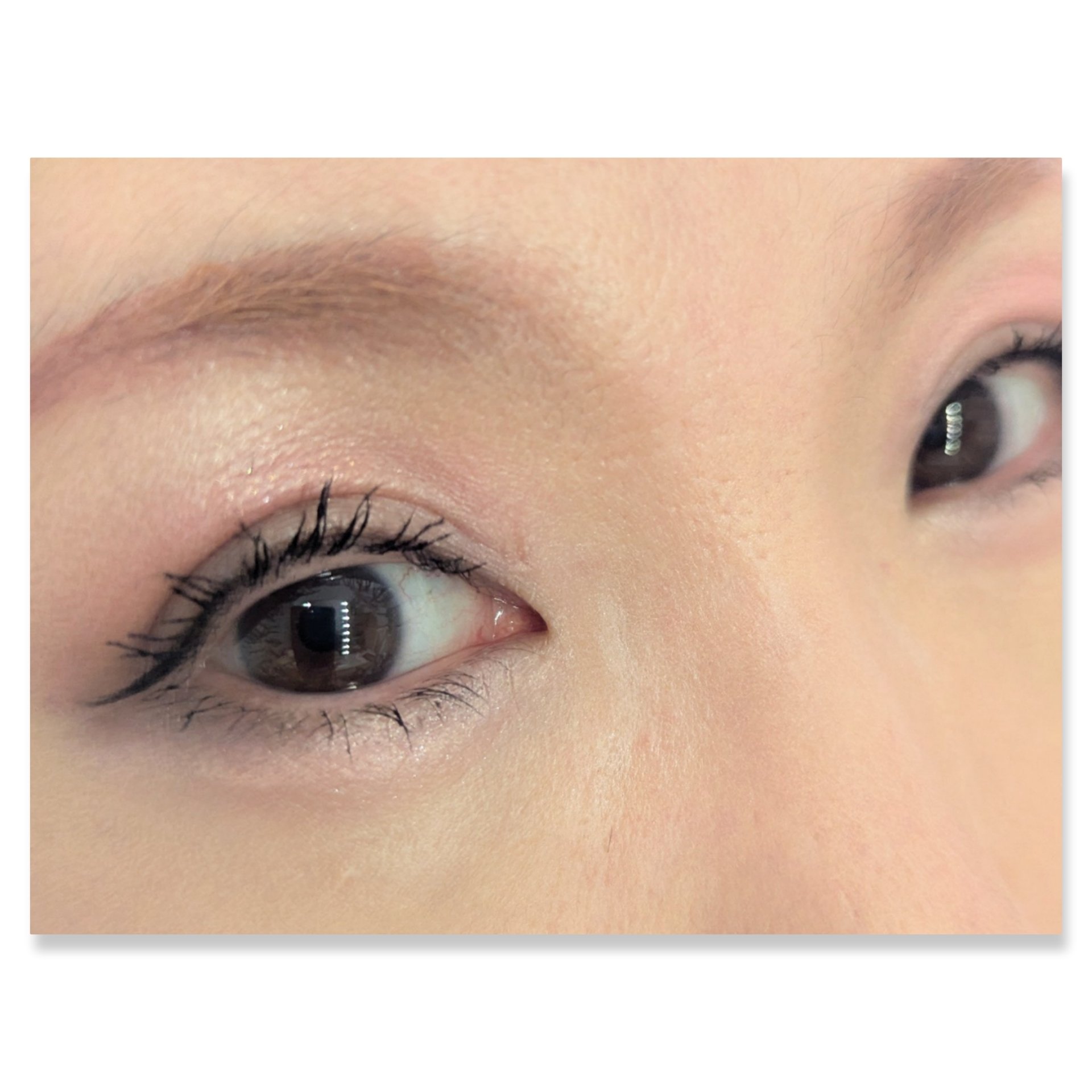 ショコラスウィート アイズ/リンメル ロンドン/アイシャドウパレットを使ったクチコミ（2枚目）