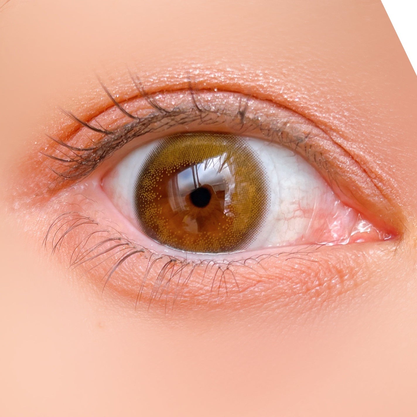 ケイト ポッピングシルエットシャドウ/KATE/アイシャドウパレットを使ったクチコミ(4枚目)