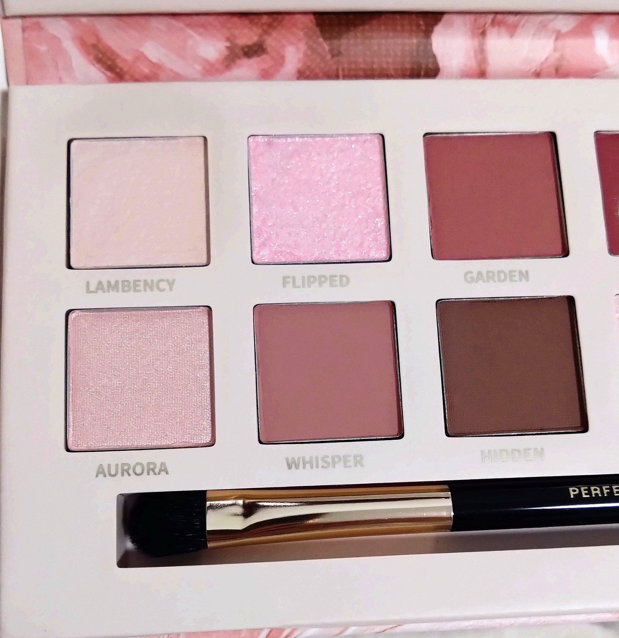 エクスプローラ12色 動物アイシャドウパレット/PERFECT DIARY/アイシャドウパレットを使ったクチコミ（2枚目）