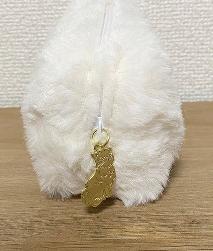 プライムリキッドアイライナー リッチキープ/ヒロインメイク/リキッドアイライナーを使ったクチコミ(10枚目)