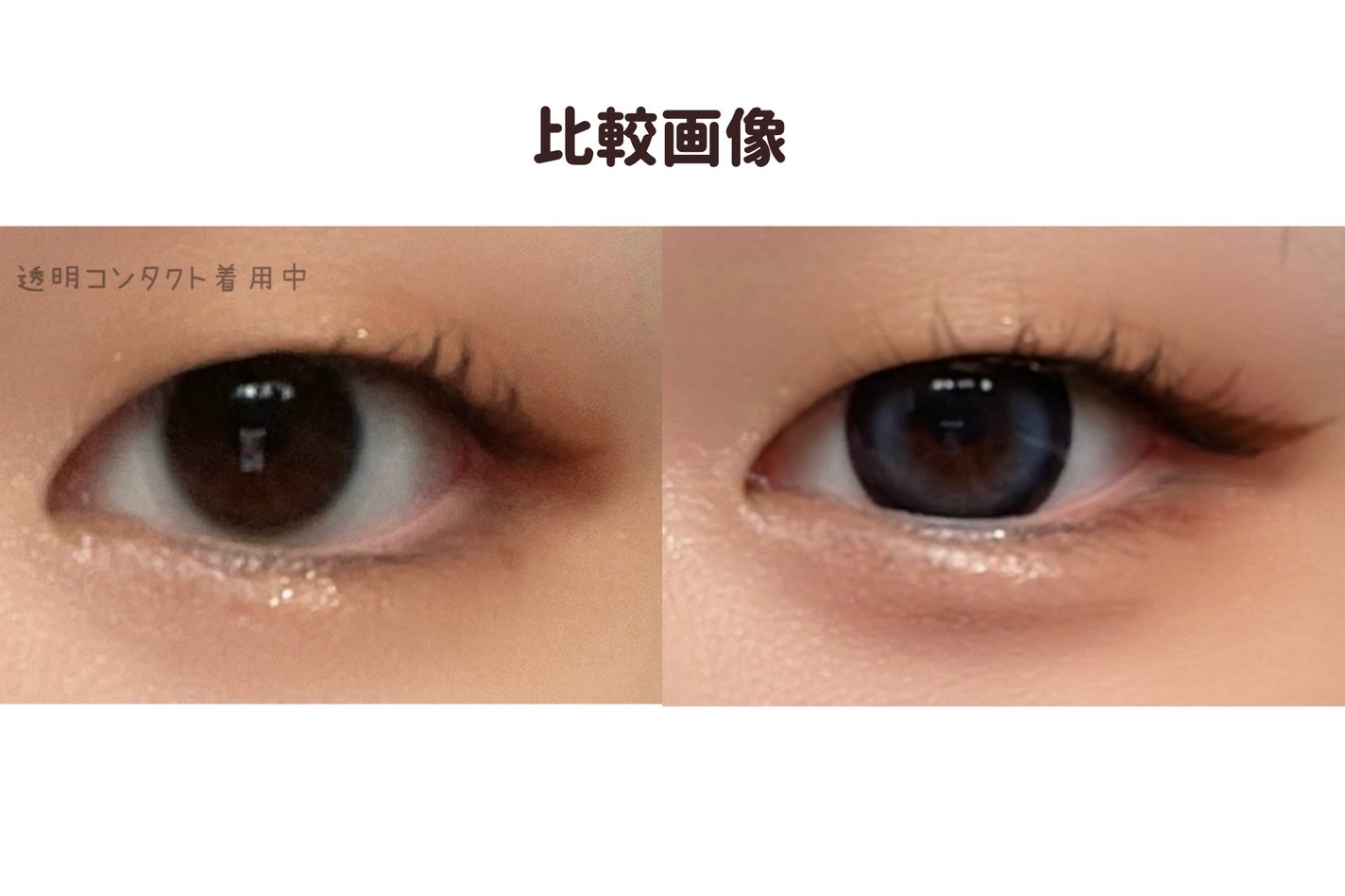 Angelcolor Bambi Series 1day /AngelColor/ワンデー(1DAY)カラコンを使ったクチコミ(5枚目)