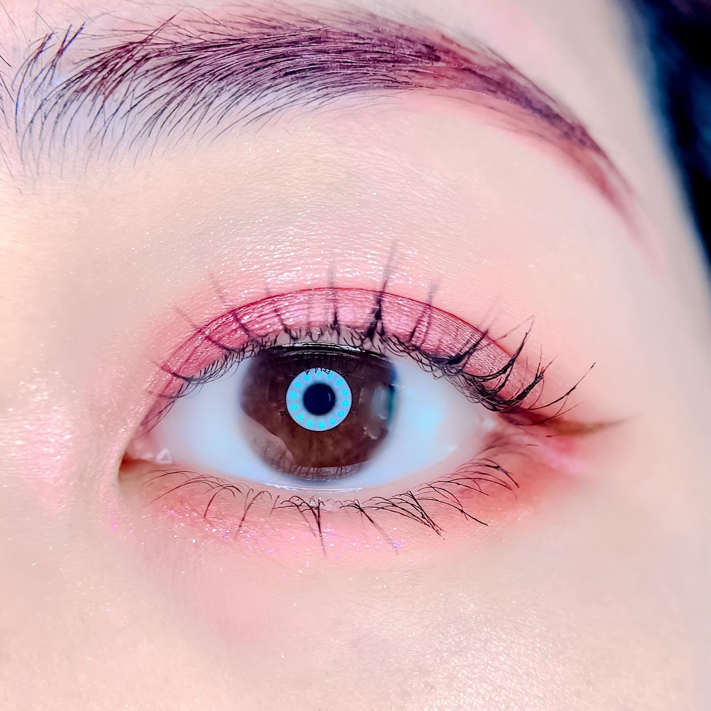 ディスコグラム アイパレット/shu uemura/アイシャドウパレットを使ったクチコミ（3枚目）