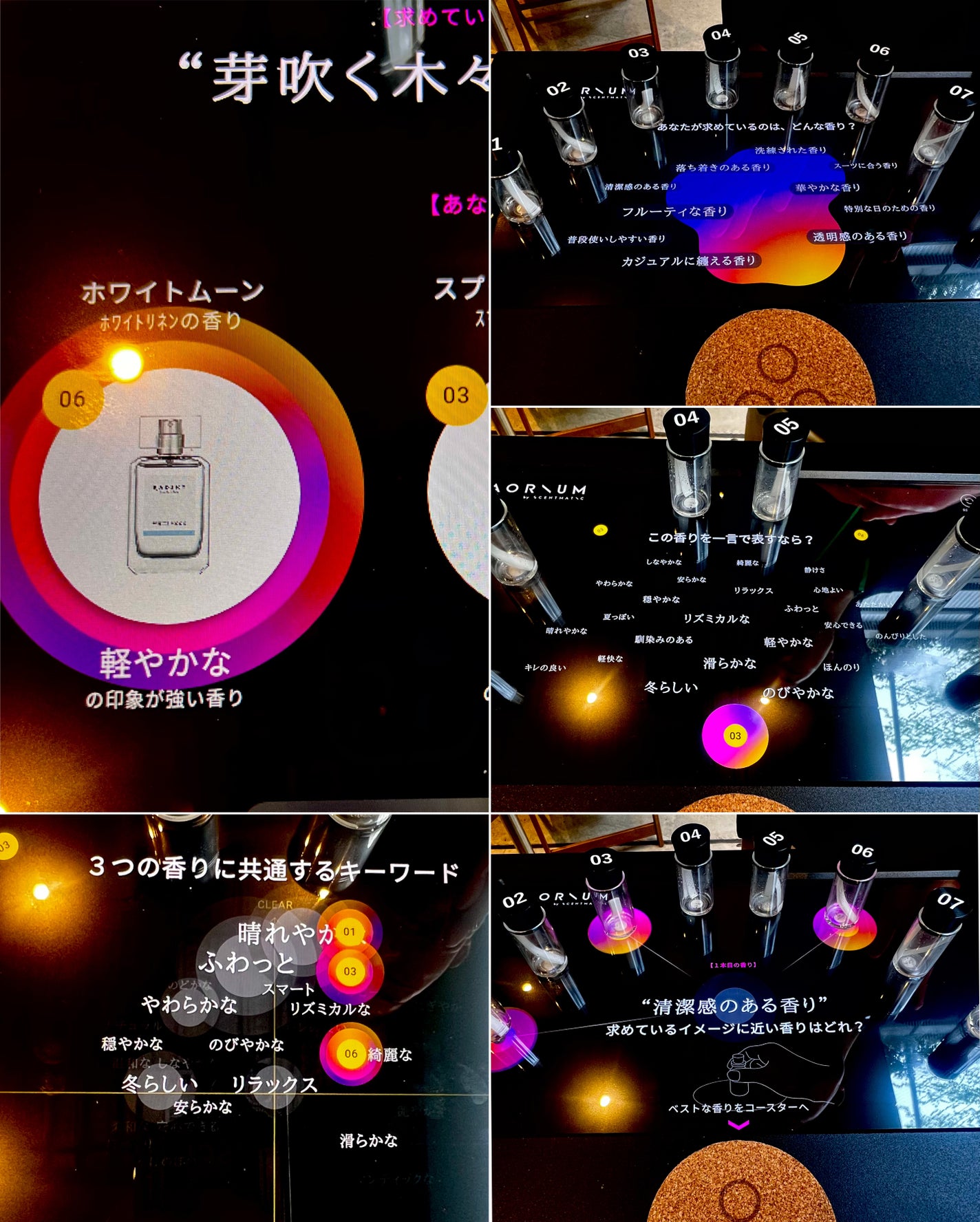 ラッドスカイ シークレットガーデン オードトワレ/ラッドスカイ/香水(その他)を使ったクチコミ(6枚目)