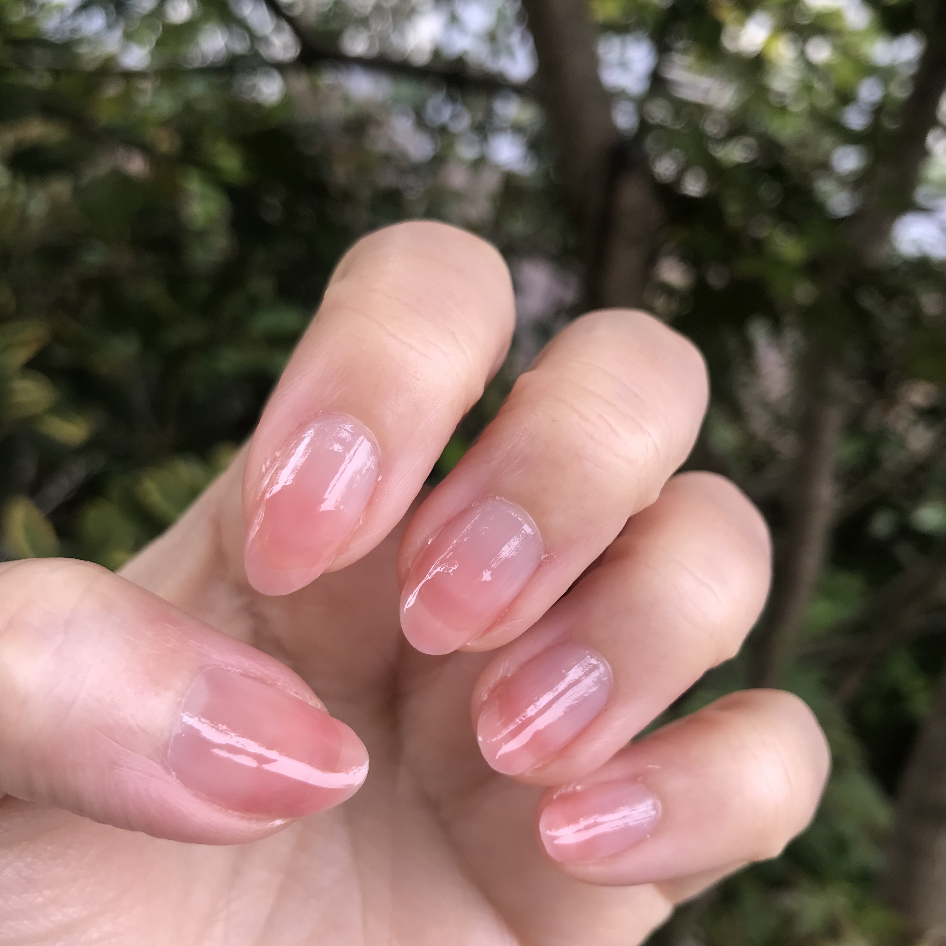 クイッククリスタルコートⅡ/ネイリスト/ネイルトップコートを使ったクチコミ（1枚目）