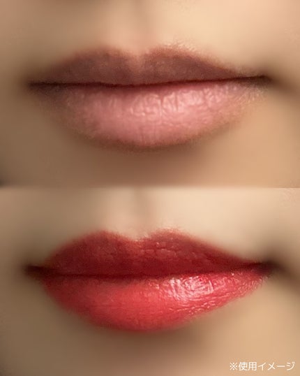 ザ リップ ネオ アニマ #マンモス レッド/アーレス/口紅の画像