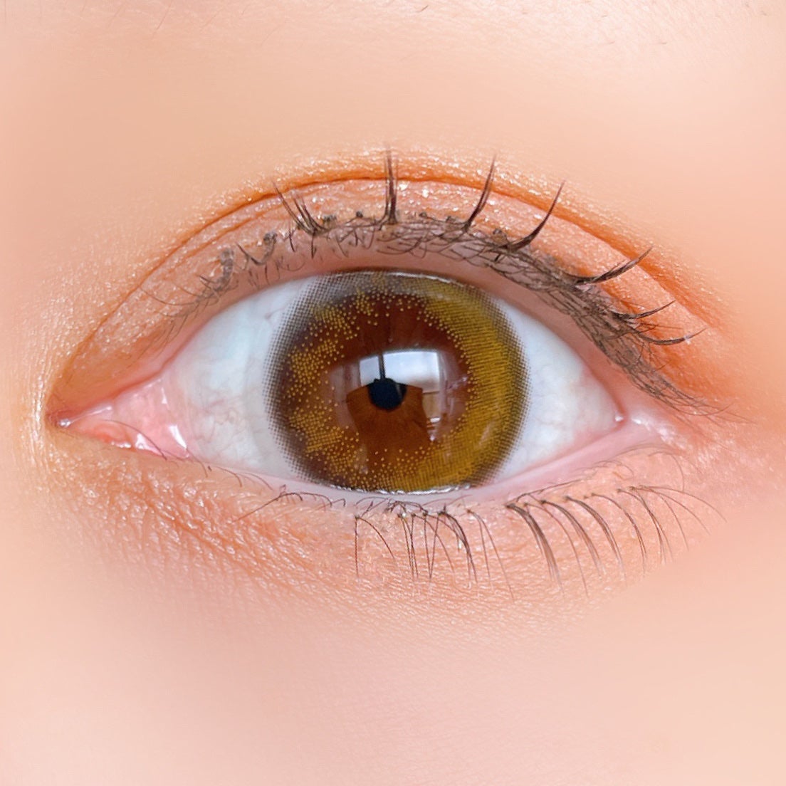 ケイト ポッピングシルエットシャドウ/KATE/アイシャドウパレットを使ったクチコミ(5枚目)