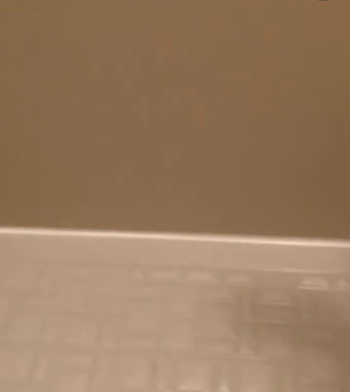 Mol clear Pro/ホコニコ/その他を使ったクチコミ(4枚目)