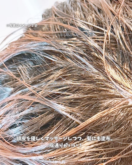 ヘアスカルプバイタルマスク/TIARERA/ヘアマスク・ヘアパックを使ったクチコミ(5枚目)