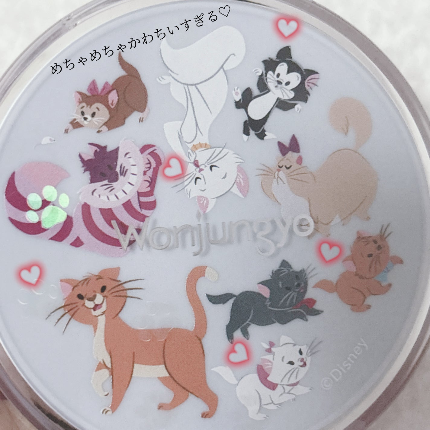 ウォンジョンヨ フィクシングブラーパウダー N/Wonjungyo/ルースパウダーを使ったクチコミ(2枚目)