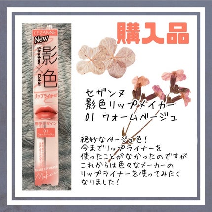 影色リップメイカー/CEZANNE/口紅・グロス・リップライナー・リップケアを使ったクチコミ(1枚目)
