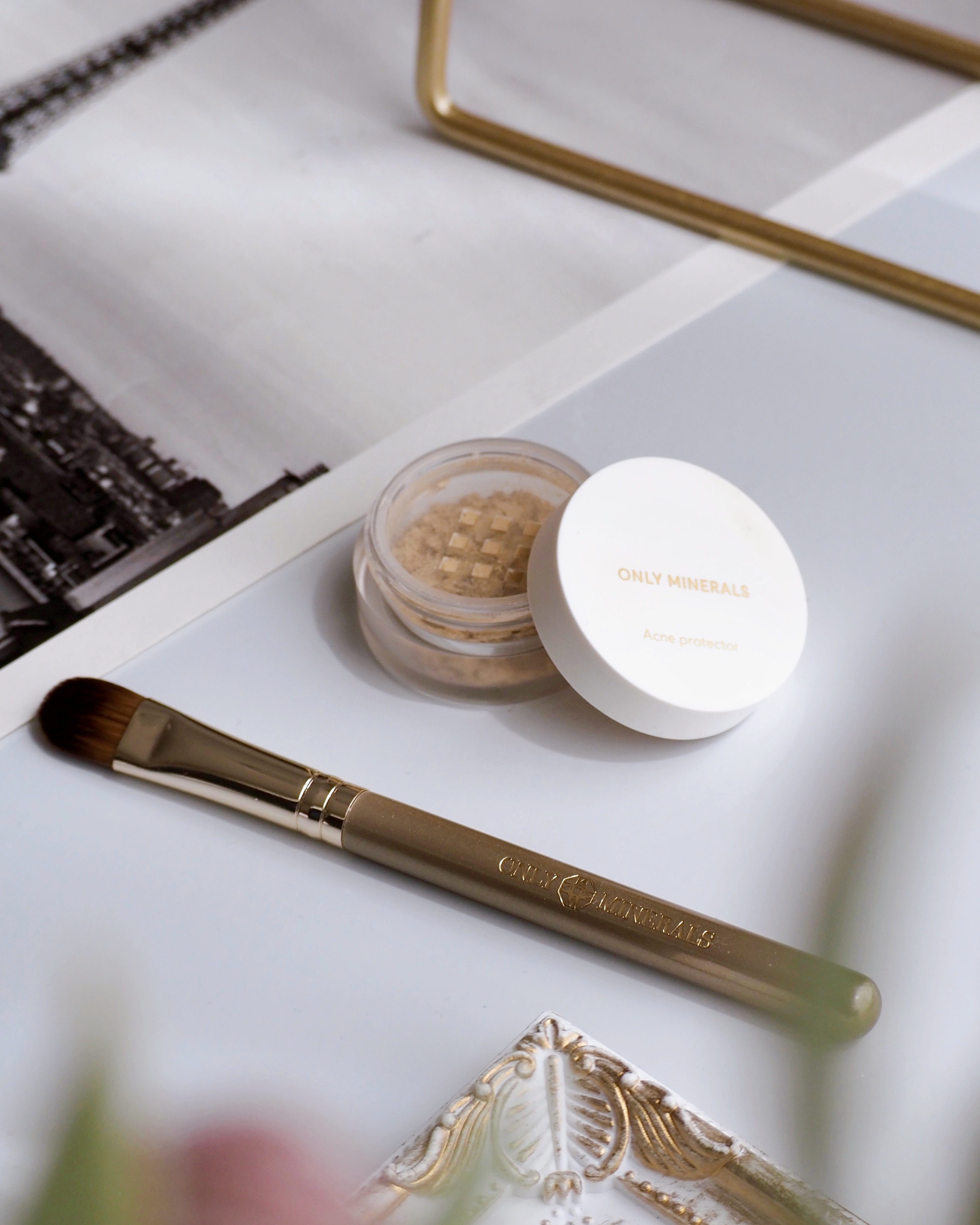 薬用コンシーラー アクネプロテクター/ONLY MINERALS/パウダーコンシーラーを使ったクチコミ（1枚目）