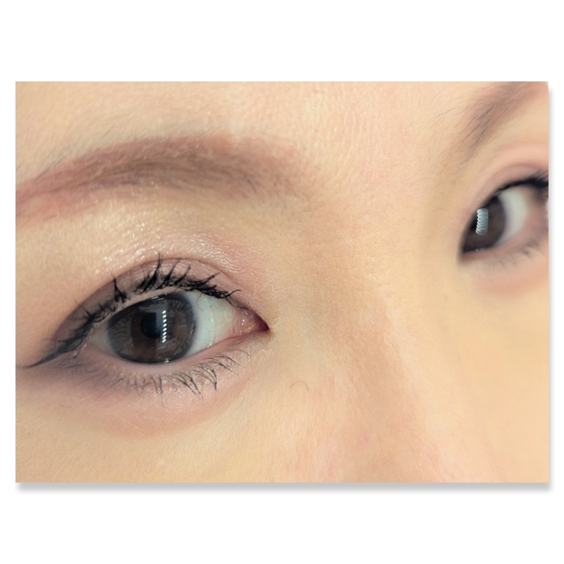 ダブル ムード アイズ/Visée/アイシャドウパレットを使ったクチコミ（2枚目）