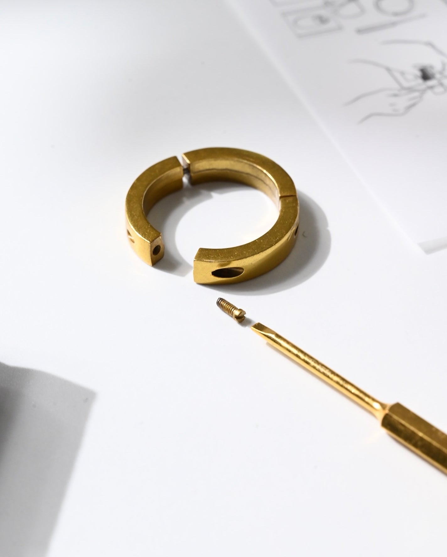 ザ リップ ネオ アニマ/アーレス/口紅を使ったクチコミ(4枚目)