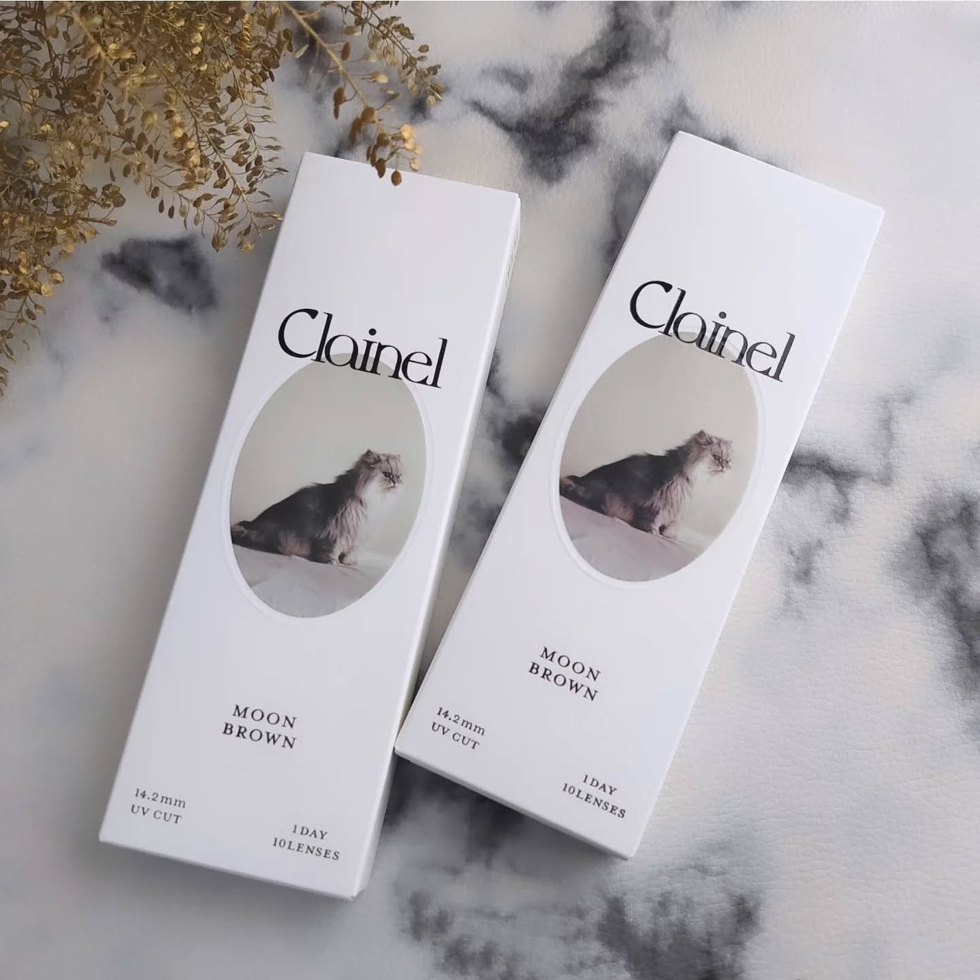 Clainel 1DAY/Clainel/ワンデー(1DAY)カラコンを使ったクチコミ(2枚目)