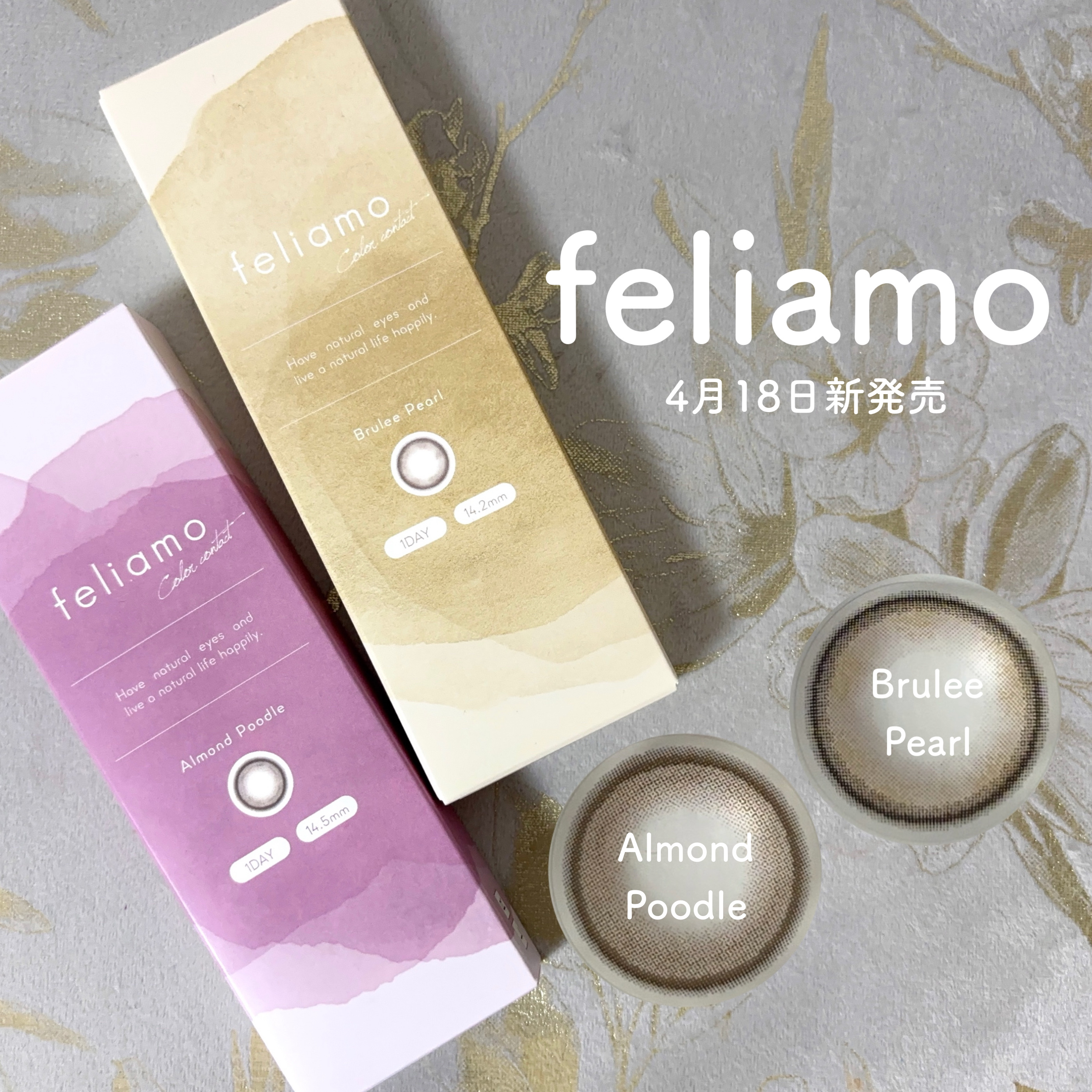 feliamo 1day/feliamo/ワンデー（１DAY）カラコンを使ったクチコミ（1枚目）