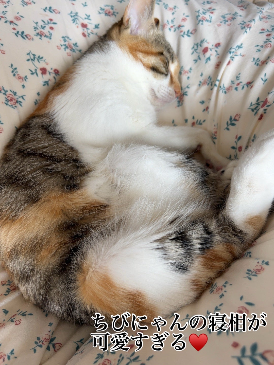 ðââ¬ã«ãããðŸ on LIPS ãããã幞ããªäŒæ¥ã倩æ°ãè¯ããŠåäŸãã¡ãåºãããŠãŠã«ãããã¯å¹ž..ãïŒ1æç®ïŒ