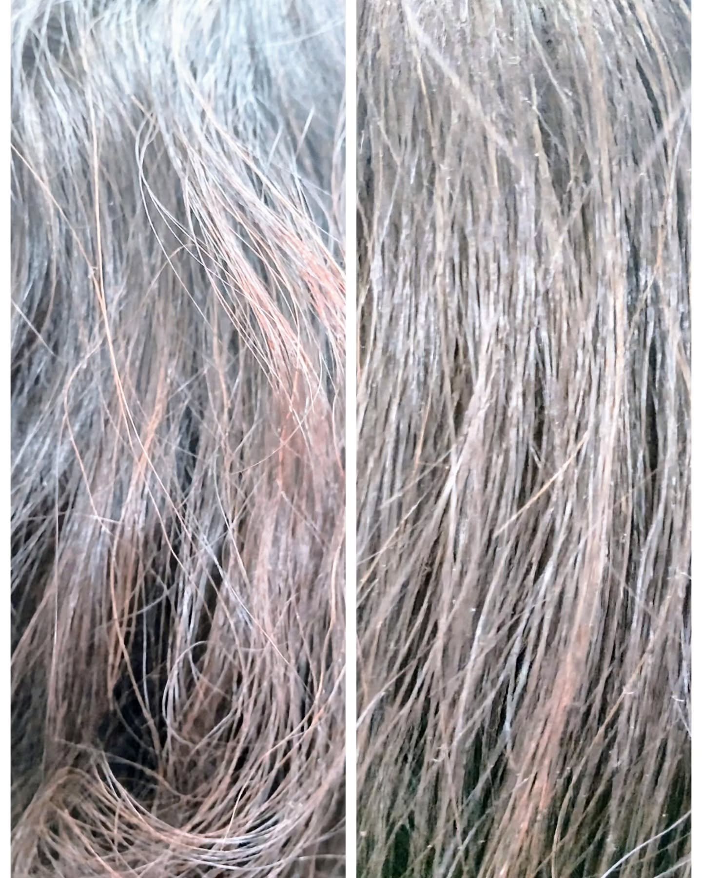 ヒートケア＆スタイリング ミルク/プロスタイル/プレスタイリング・寝ぐせ直しを使ったクチコミ（3枚目）