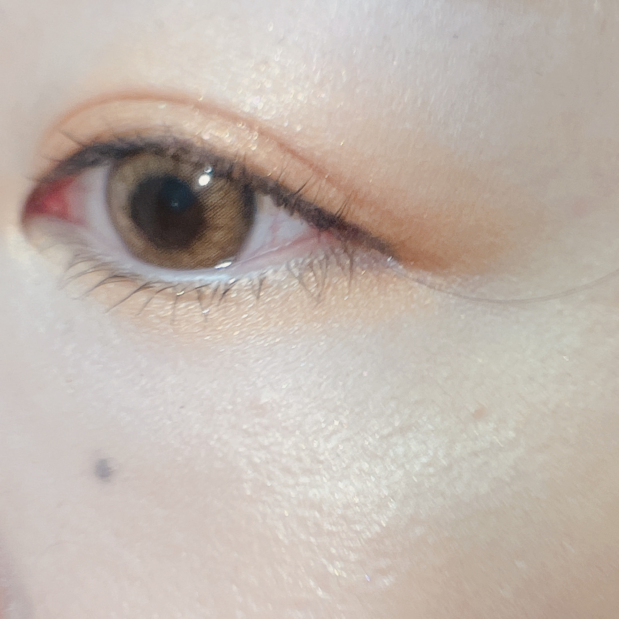 20th アニバーサリー アイ＆ブラッシュ コンパクト/SUQQU/アイシャドウパレットを使ったクチコミ（2枚目）